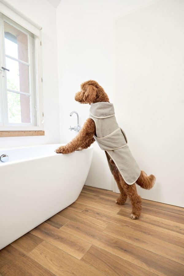 Hundebademantel Robi - Beige – Bild 7