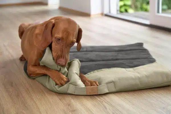 Hundematte Alma - Salbei – Bild 5