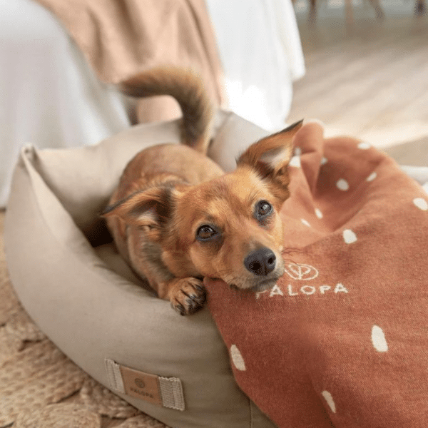 Hundedecke Ida - Punkte Zimt Milchig – Bild 6