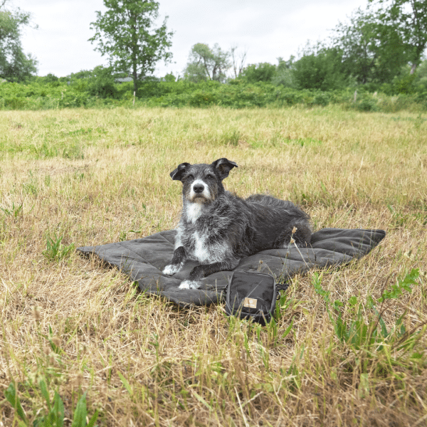 Hundematte Alma - Anthrazit – Bild 8