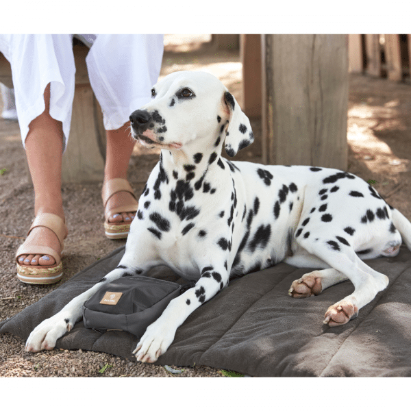 Hundematte Alma - Anthrazit – Bild 6