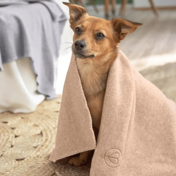 Hundedecke Mathilda - Ahorn – Bild 10
