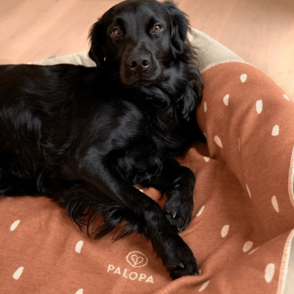 Hundedecke Ida - Punkte Zimt Milchig – Bild 3
