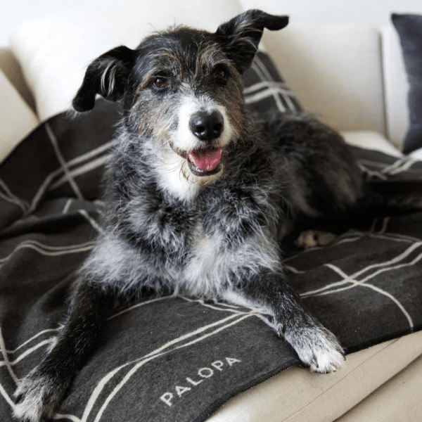 Hundedecke Ida - Anthrazit kariert – Bild 3