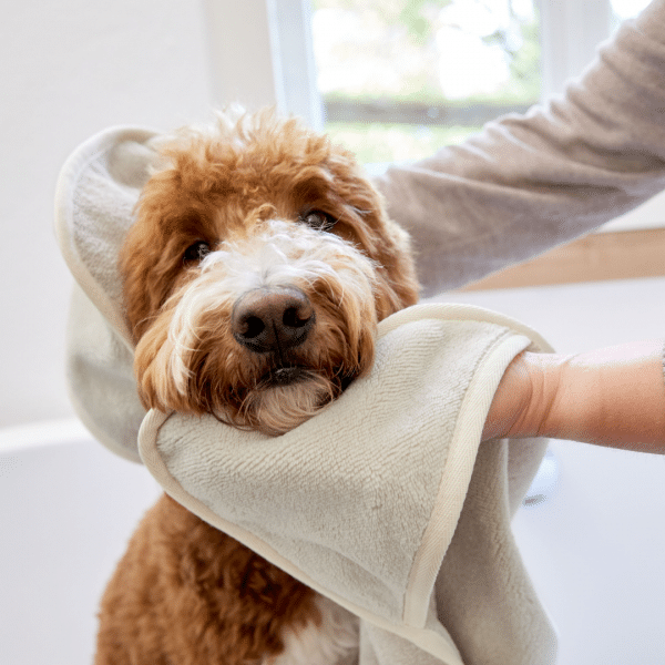 Hundehandtuch Kosy - Beige – Bild 6