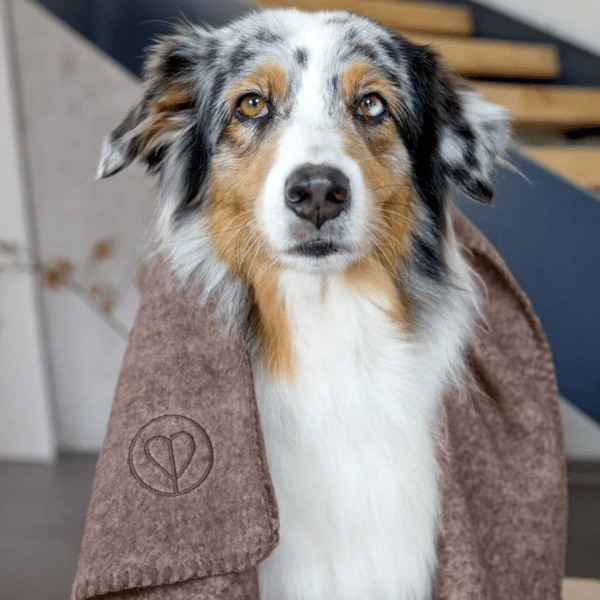 Hundedecke Mathilda - Walnuss – Bild 3