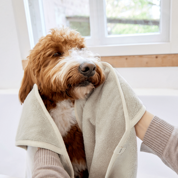 Hundehandtuch Kosy - Beige – Bild 5