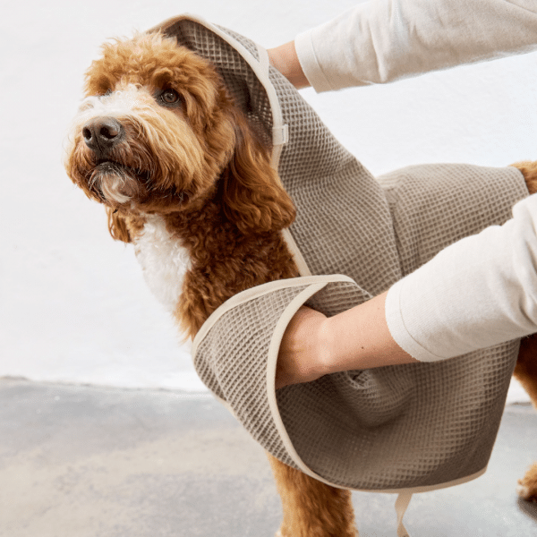 Hundehandtuch Nobs - Taupe – Bild 4
