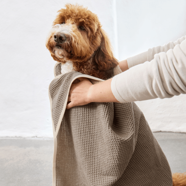 Hundehandtuch Nobs - Taupe – Bild 5