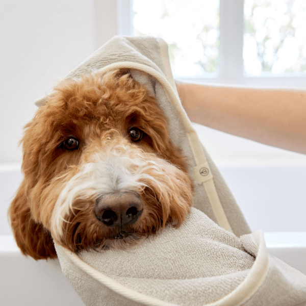 Hundehandtuch Kosy - Beige – Bild 7