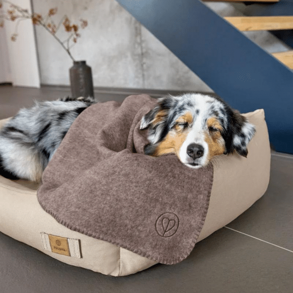 Hundedecke Mathilda - Walnuss – Bild 6
